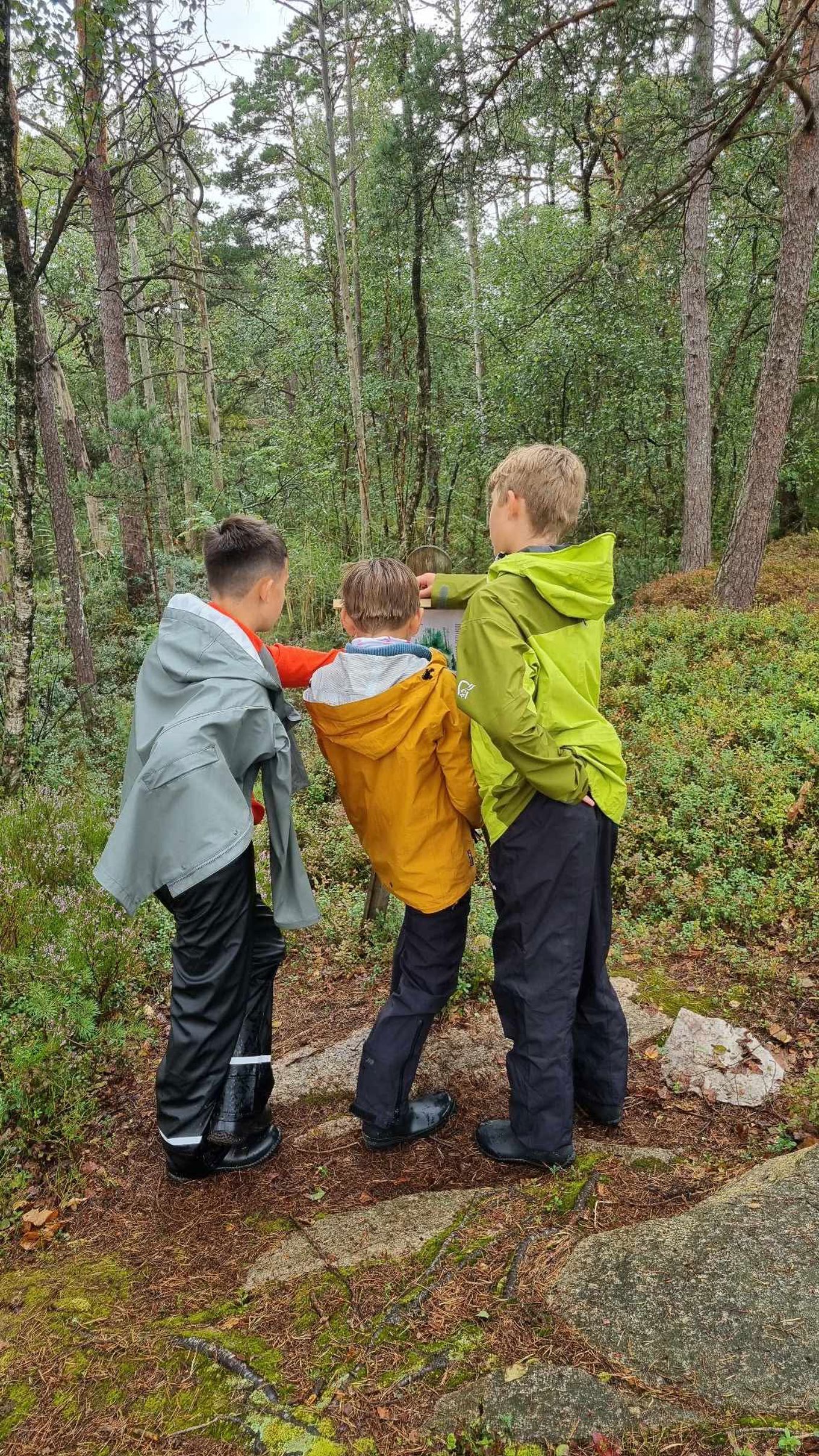 en gruppe barner som står i en skog en gruppe barner som står i en skog