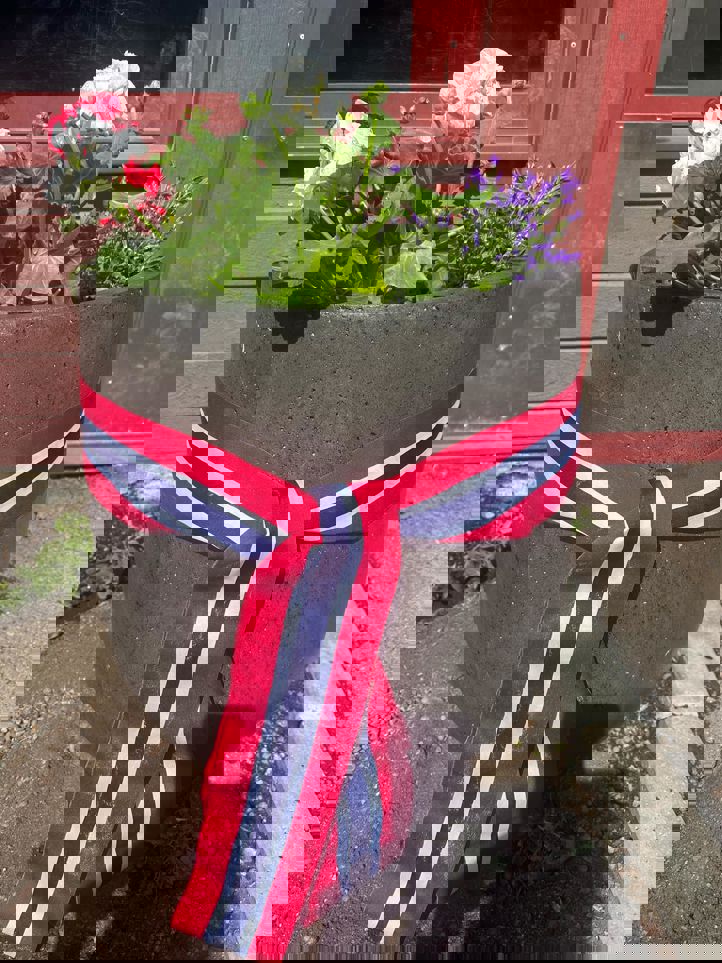 en potte med blomster
