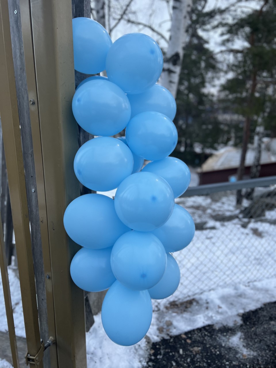 Blå ballonger henger på porten