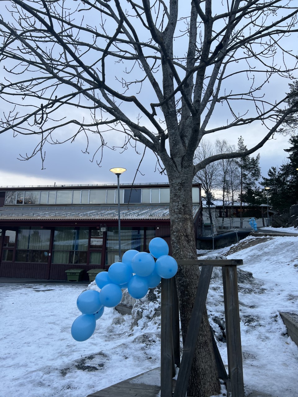 Blå ballonger i tre