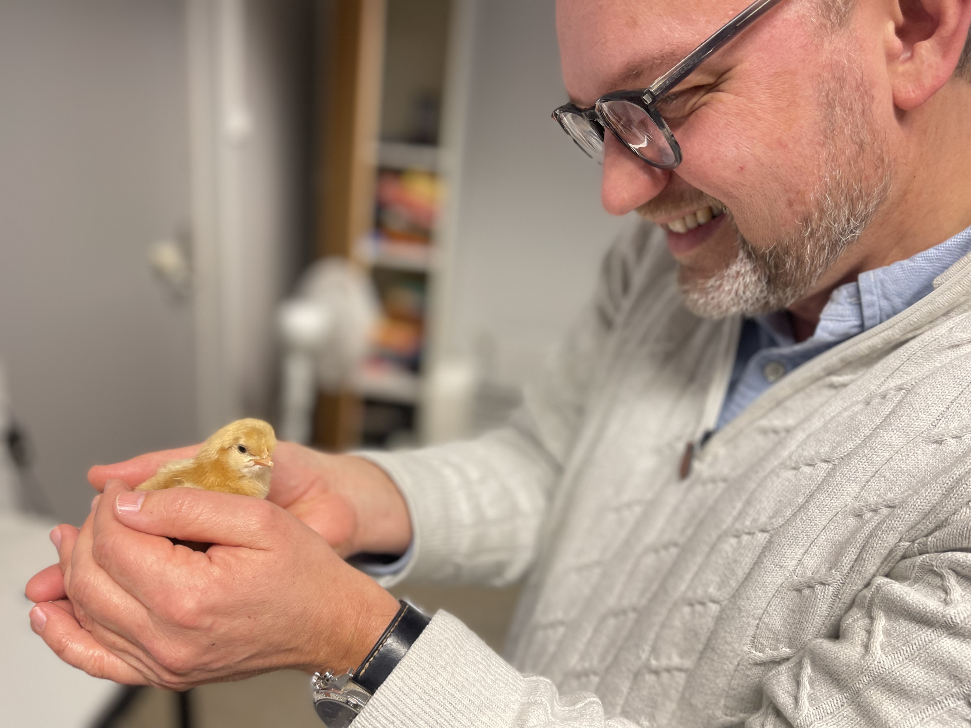 en person som holder en liten fugl