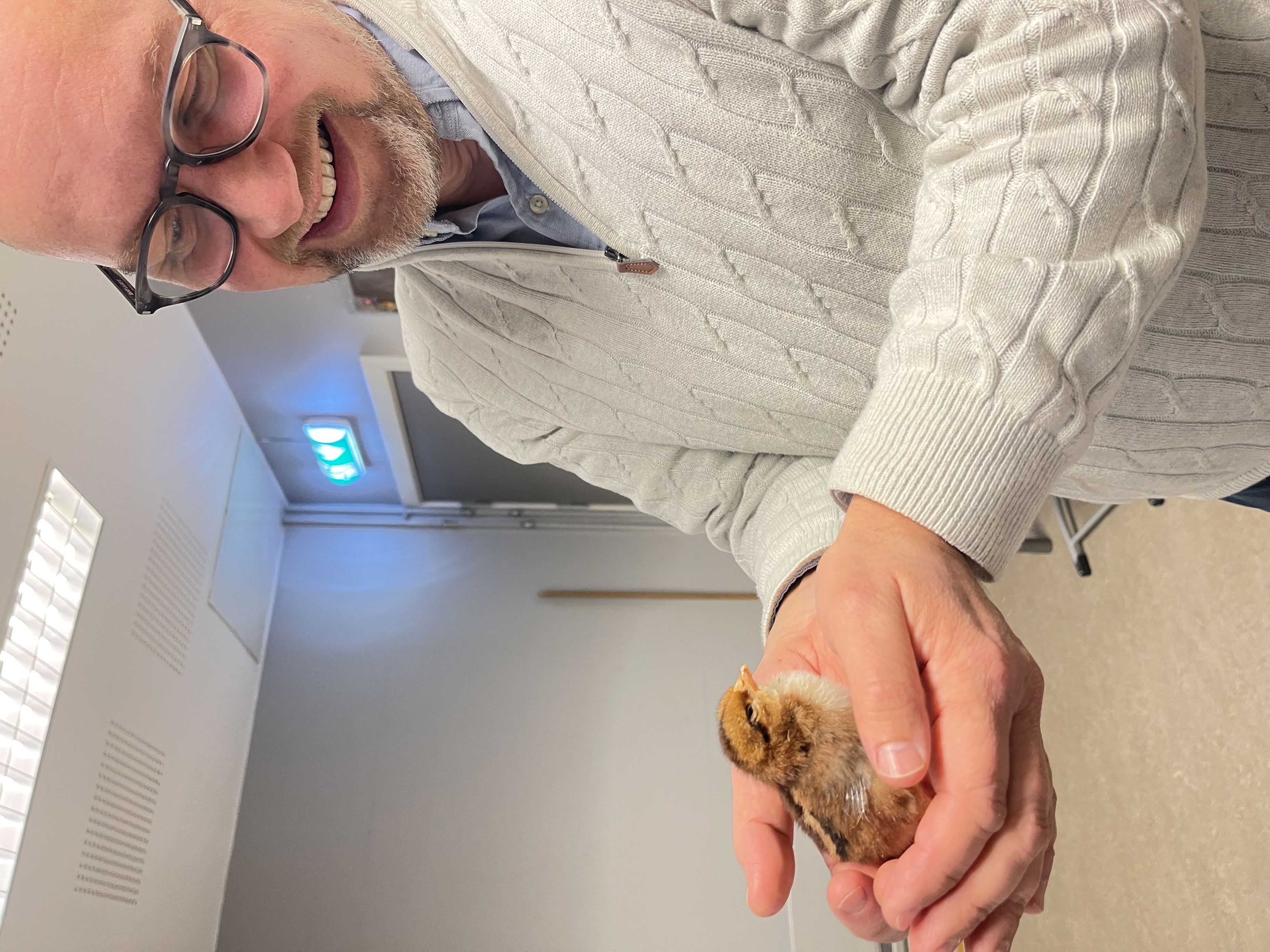 en person som holder en fugl