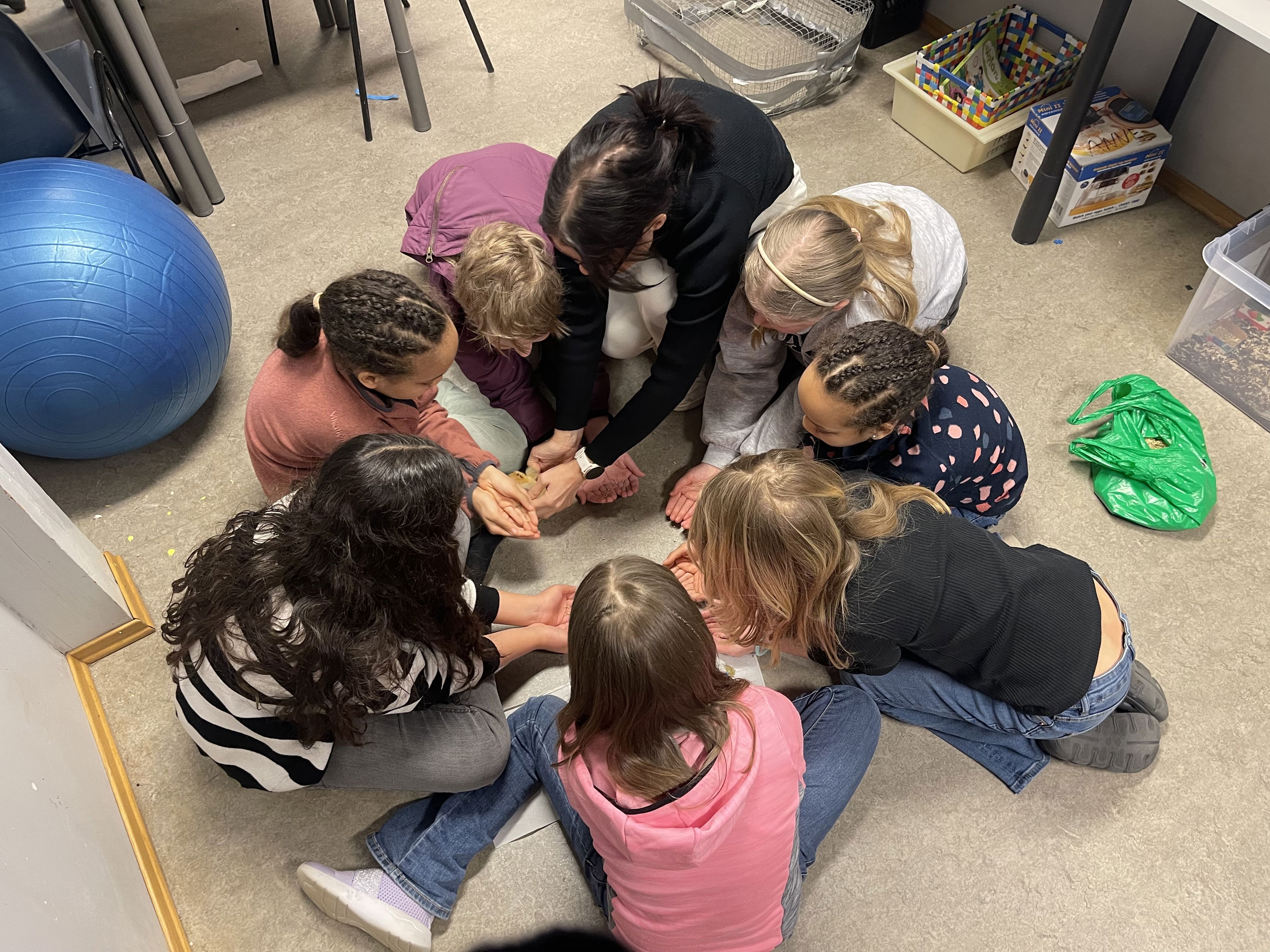 en gruppe mennesker som ligger på gulvet