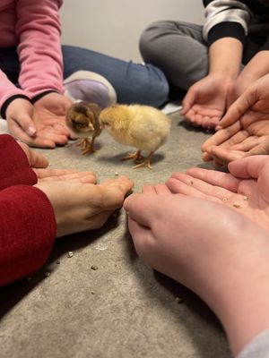 en gruppe mennesker som holder hender med en liten gul fugl på
