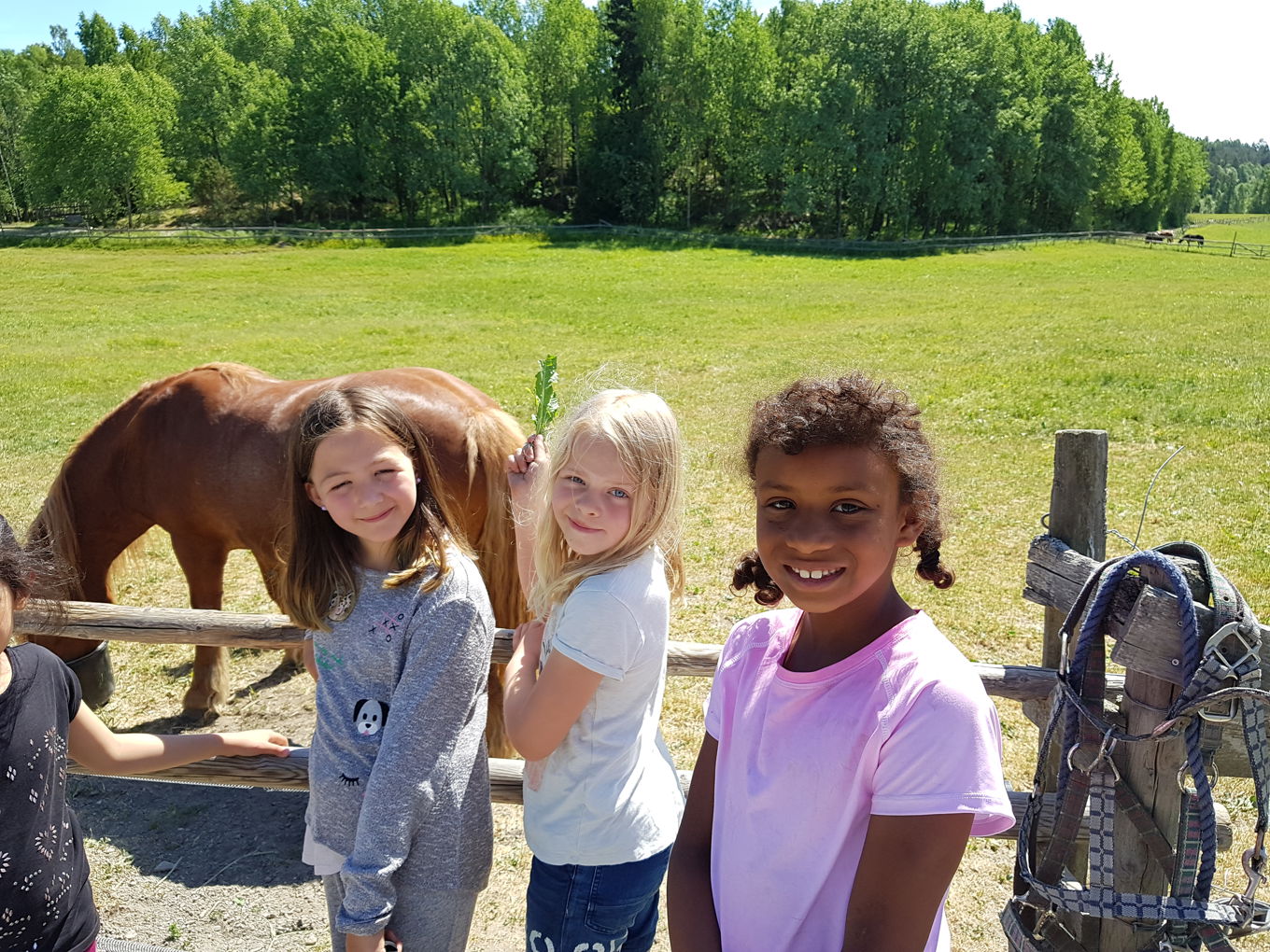 Foto: Elever på 3.trinn besøker gården. Elever på 3.trinn besøker gården.