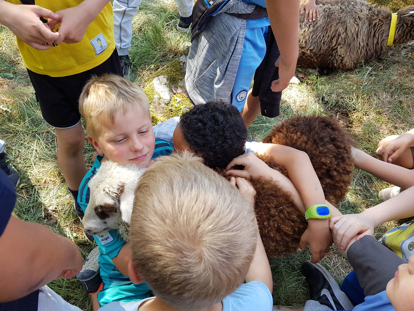 Foto: Elever på 3.trinn besøker gården. Elever på 3.trinn besøker gården.